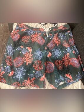 Amazon Essentials Men’s Swim Trunks - Green with Coral & Lavender Reef Print